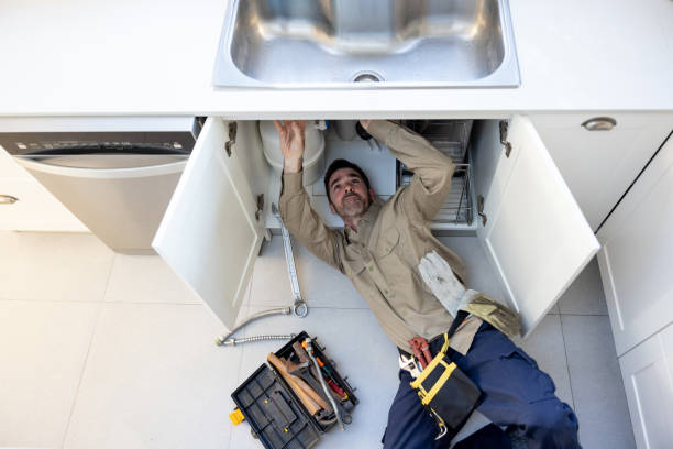 Best Plumbing Services Near Me  in Zionsville, IN