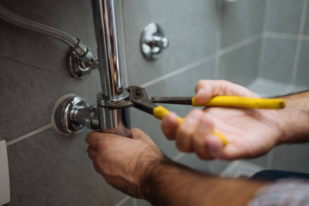 Best Same-Day Plumbing Service  in Zionsville, IN