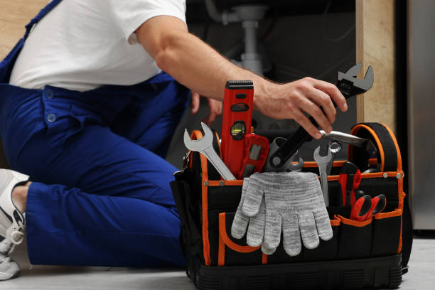 Best Drain Cleaning Services  in Zionsville, IN