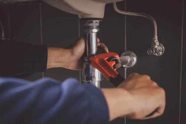 Best Plumbing Repair Near Me  in Zionsville, IN