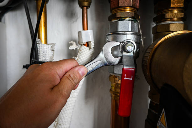Best Same-Day Plumbing Service  in Zionsville, IN